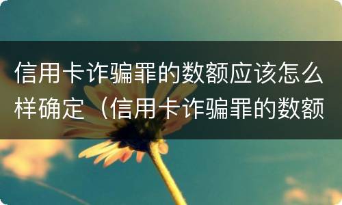 信用卡诈骗罪的数额应该怎么样确定（信用卡诈骗罪的数额应该怎么样确定判刑）