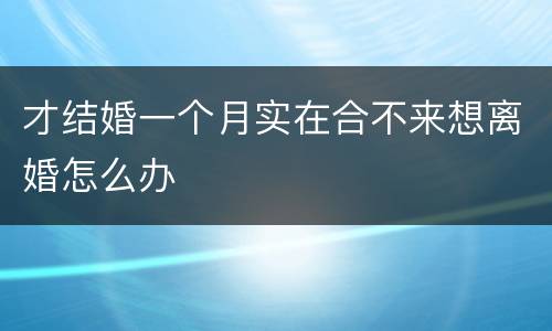 才结婚一个月实在合不来想离婚怎么办
