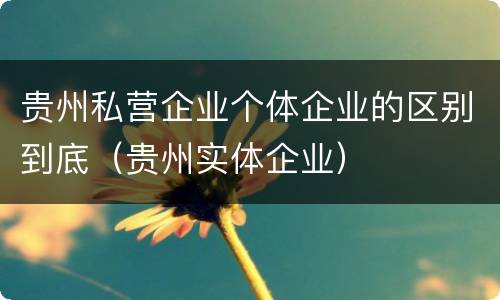 贵州私营企业个体企业的区别到底(贵州实体企业)