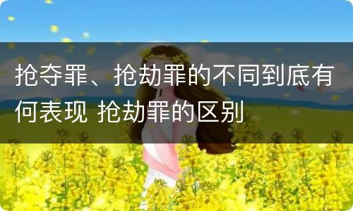 抢夺罪、抢劫罪的不同到底有何表现 抢劫罪的区别