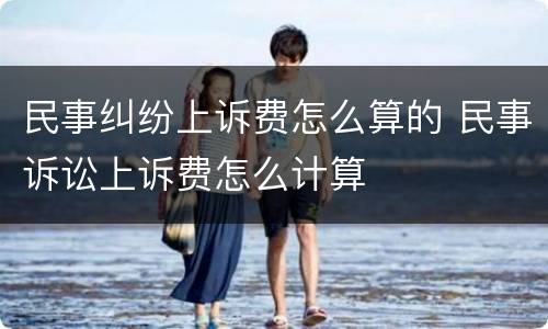 民事纠纷上诉费怎么算的 民事诉讼上诉费怎么计算