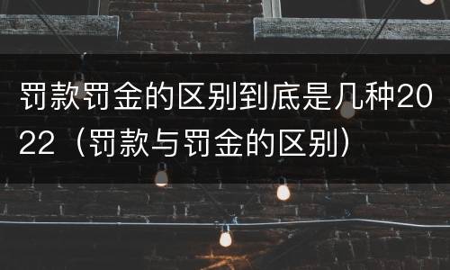罚款罚金的区别到底是几种2022（罚款与罚金的区别）