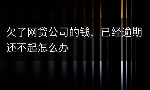 欠了网贷公司的钱，已经逾期还不起怎么办