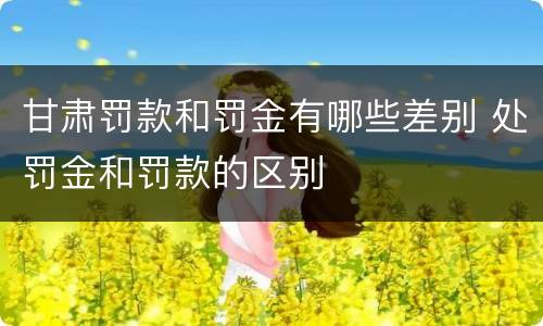 甘肃罚款和罚金有哪些差别 处罚金和罚款的区别