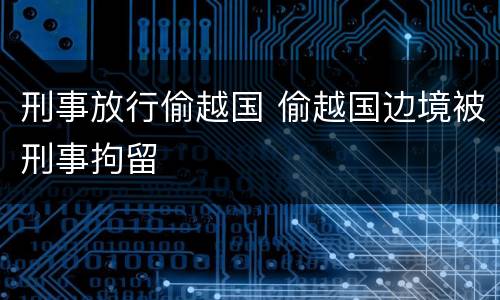 刑事放行偷越国 偷越国边境被刑事拘留