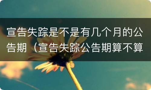 宣告失踪是不是有几个月的公告期（宣告失踪公告期算不算在两年里）
