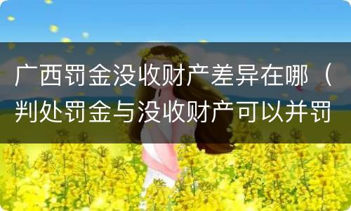 广西罚金没收财产差异在哪（判处罚金与没收财产可以并罚吗）