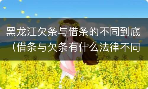 黑龙江欠条与借条的不同到底（借条与欠条有什么法律不同依据）