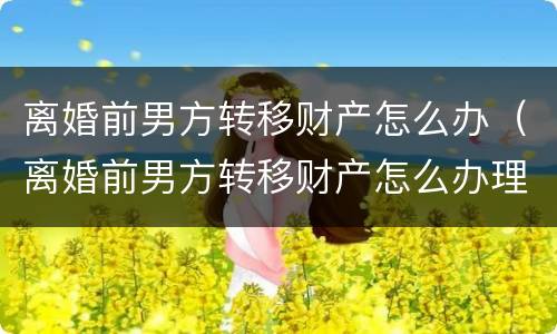 离婚前男方转移财产怎么办（离婚前男方转移财产怎么办理手续）