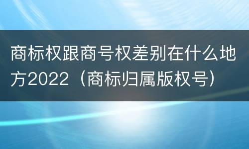 商标权跟商号权差别在什么地方2022（商标归属版权号）
