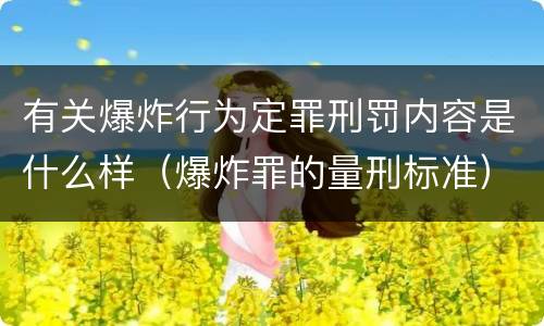 有关爆炸行为定罪刑罚内容是什么样（爆炸罪的量刑标准）