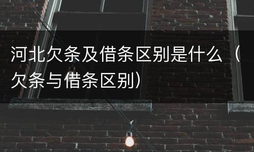 河北欠条及借条区别是什么（欠条与借条区别）