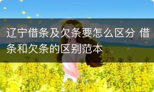 辽宁借条及欠条要怎么区分 借条和欠条的区别范本