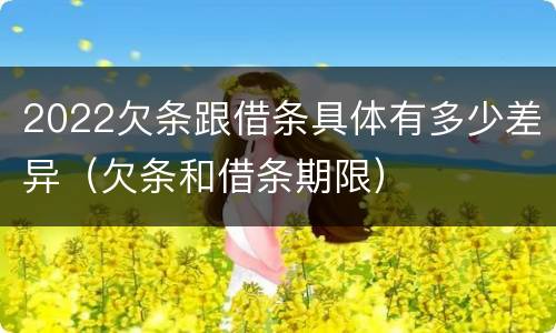 2022欠条跟借条具体有多少差异（欠条和借条期限）