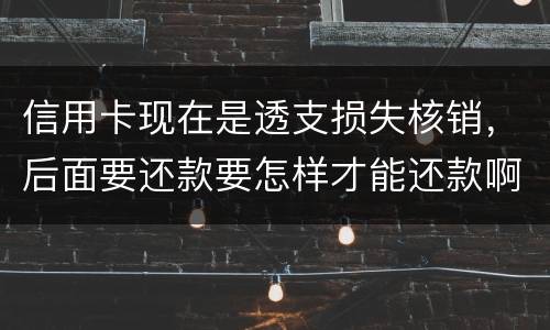 信用卡现在是透支损失核销，后面要还款要怎样才能还款啊