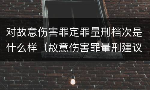 对故意伤害罪定罪量刑档次是什么样（故意伤害罪量刑建议）