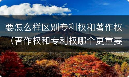 要怎么样区别专利权和著作权（著作权和专利权哪个更重要）