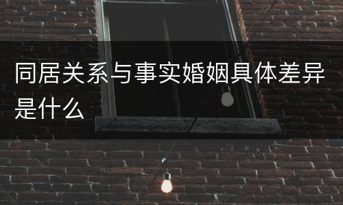 同居关系与事实婚姻具体差异是什么