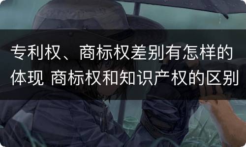 专利权、商标权差别有怎样的体现 商标权和知识产权的区别
