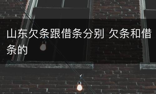 山东欠条跟借条分别 欠条和借条的