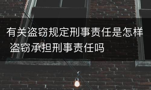 有关盗窃规定刑事责任是怎样 盗窃承担刑事责任吗