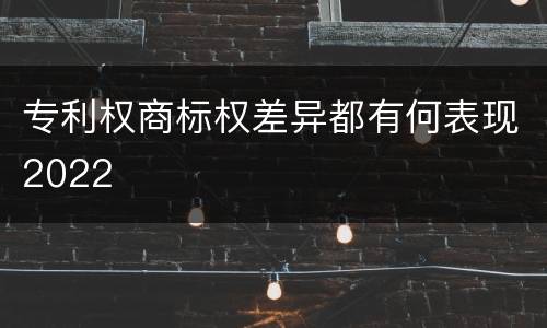 专利权商标权差异都有何表现2022 专利权商标权差异都有何表现2022