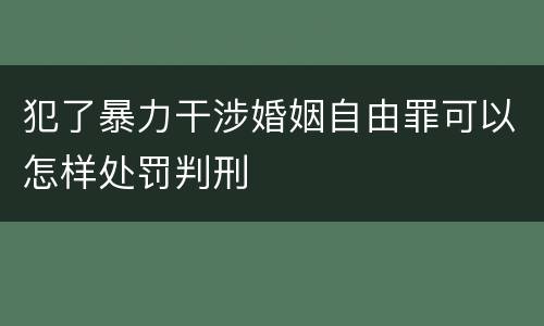 犯了暴力干涉婚姻自由罪可以怎样处罚判刑