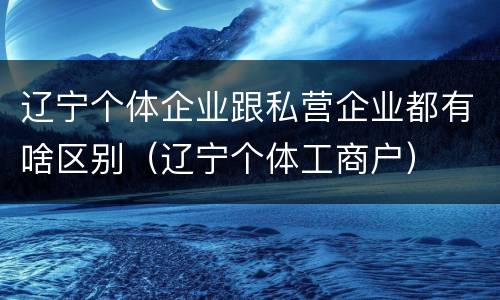 辽宁个体企业跟私营企业都有啥区别（辽宁个体工商户）