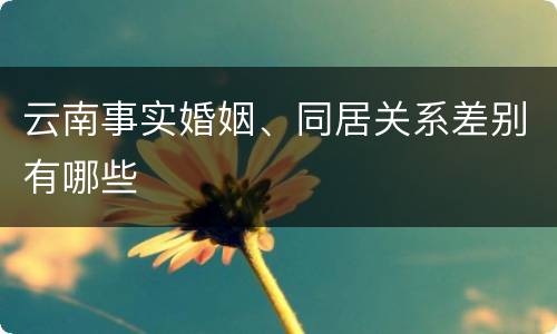 云南事实婚姻、同居关系差别有哪些