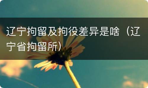 辽宁拘留及拘役差异是啥（辽宁省拘留所）