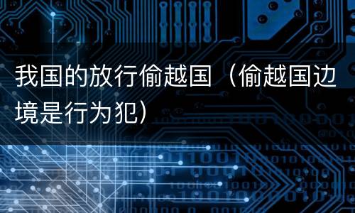 我国的放行偷越国（偷越国边境是行为犯）