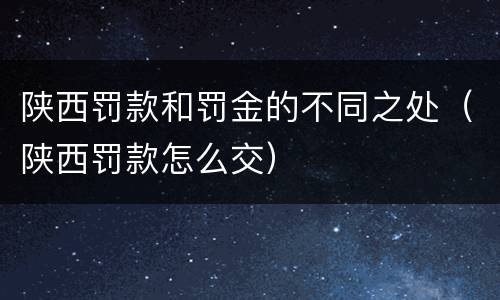 陕西罚款和罚金的不同之处（陕西罚款怎么交）