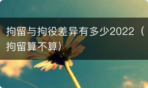 拘留与拘役差异有多少2022（拘留算不算）