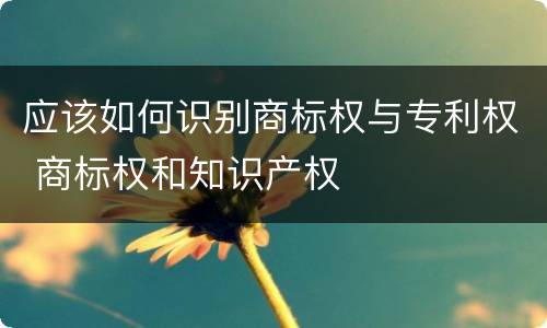 应该如何识别商标权与专利权 商标权和知识产权