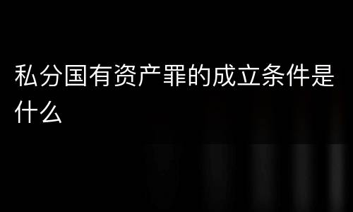 私分国有资产罪的成立条件是什么