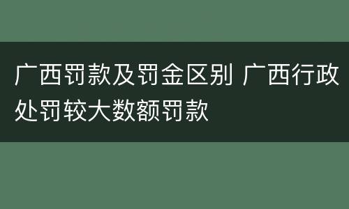 广西罚款及罚金区别 广西行政处罚较大数额罚款