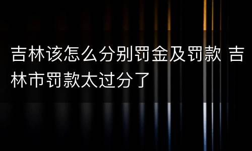 吉林该怎么分别罚金及罚款 吉林市罚款太过分了