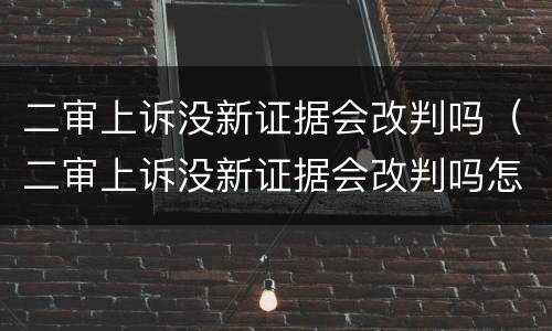 二审上诉没新证据会改判吗（二审上诉没新证据会改判吗怎么办）