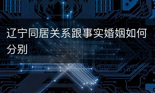 辽宁同居关系跟事实婚姻如何分别