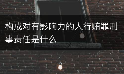 构成对有影响力的人行贿罪刑事责任是什么