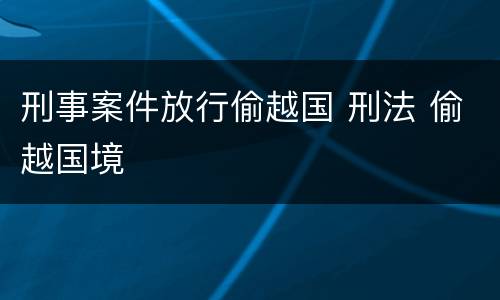 刑事案件放行偷越国 刑法 偷越国境