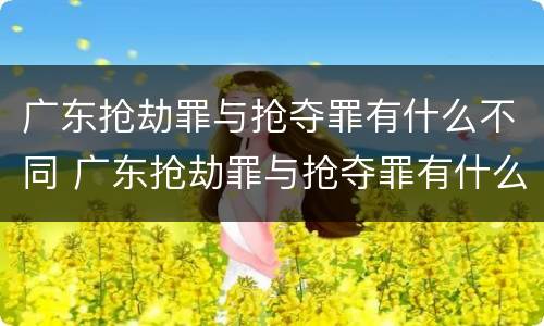 广东抢劫罪与抢夺罪有什么不同 广东抢劫罪与抢夺罪有什么不同之处