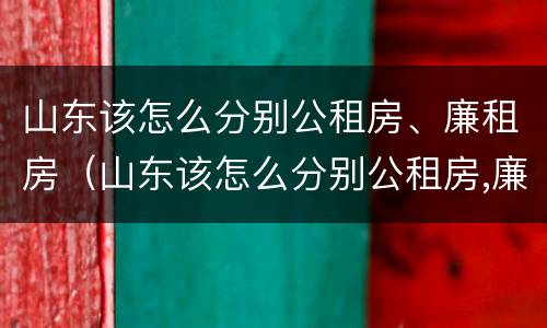 山东该怎么分别公租房、廉租房（山东该怎么分别公租房,廉租房呢）