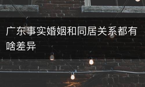 广东事实婚姻和同居关系都有啥差异