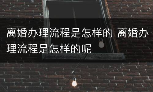 离婚办理流程是怎样的 离婚办理流程是怎样的呢