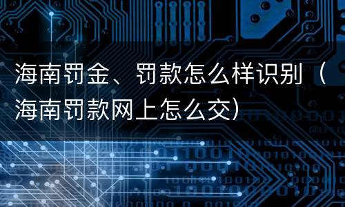 海南罚金、罚款怎么样识别（海南罚款网上怎么交）