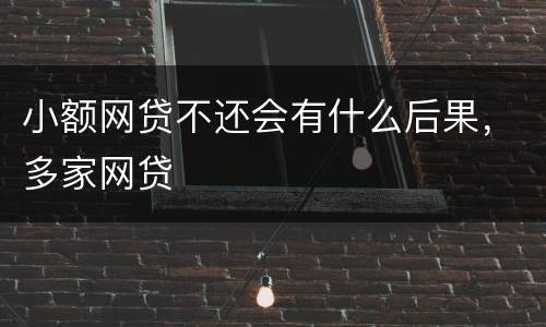 小额网贷不还会有什么后果，多家网贷