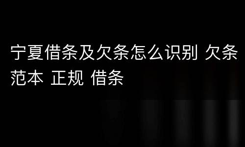 宁夏借条及欠条怎么识别 欠条范本 正规 借条