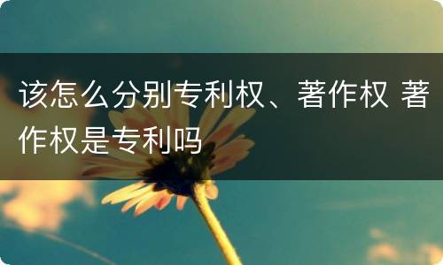 该怎么分别专利权、著作权 著作权是专利吗