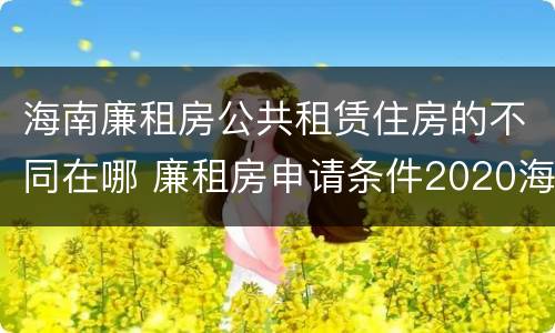 海南廉租房公共租赁住房的不同在哪 廉租房申请条件2020海南